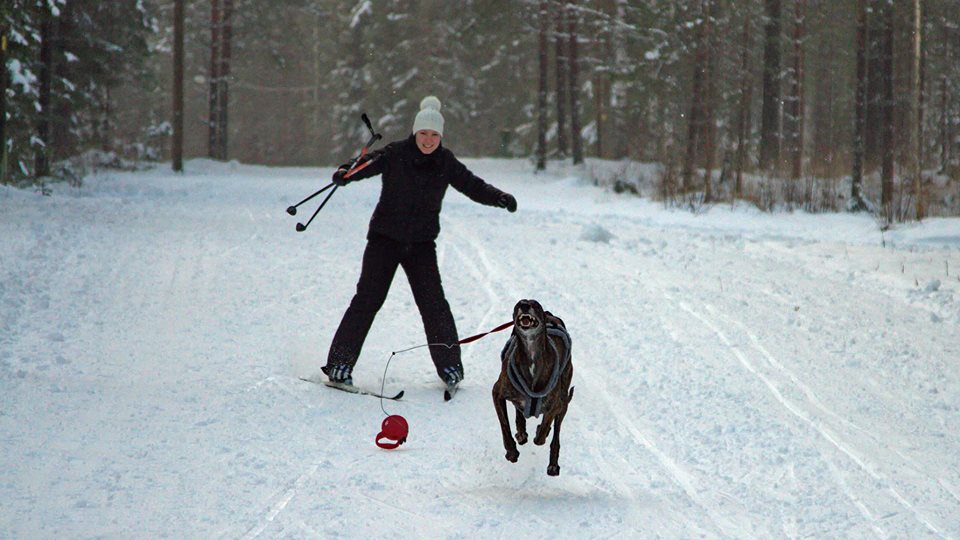 Kuva: Jan Lindfors